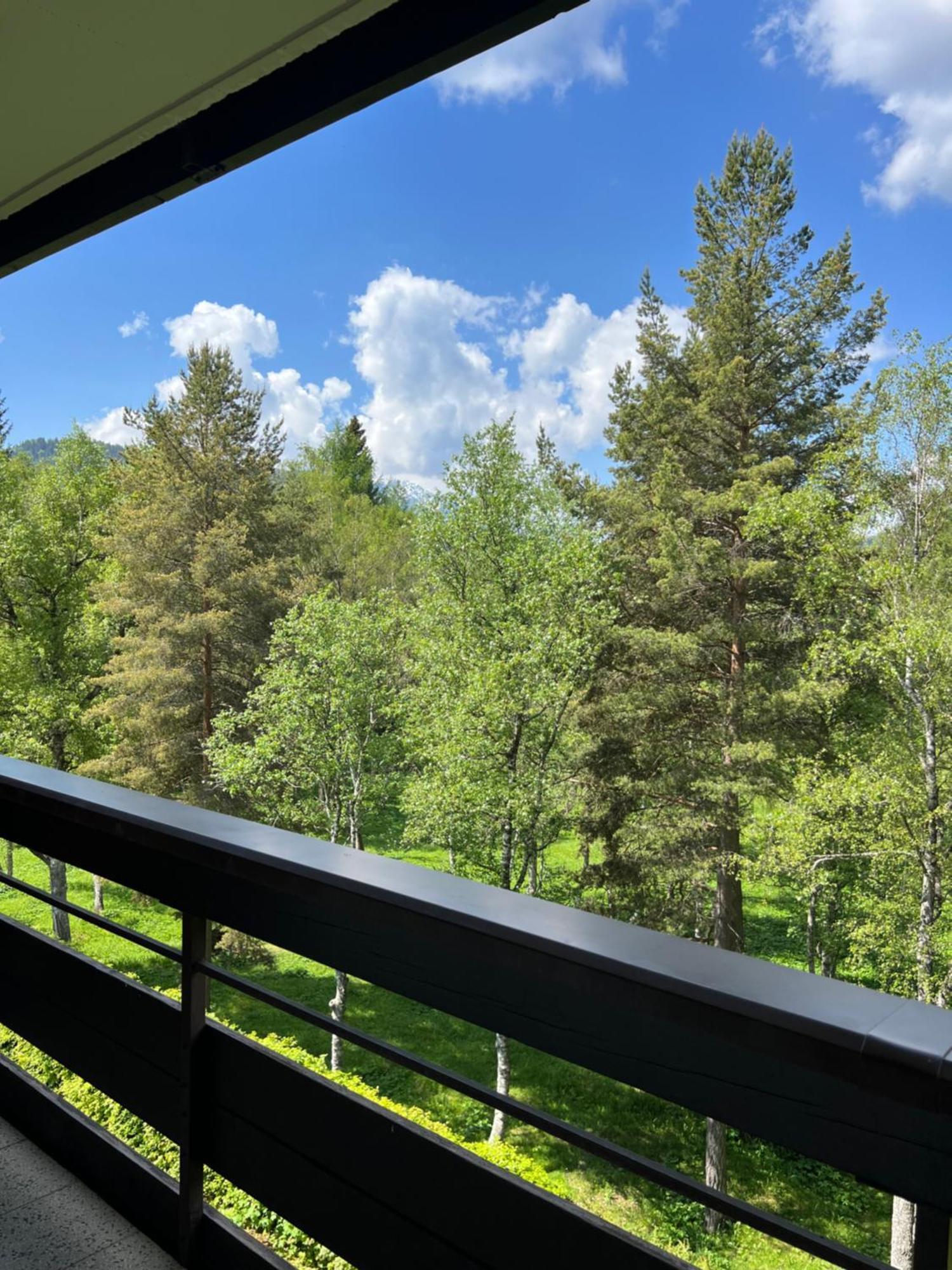 Appartementhaus Birkenwald Seefeld in Tirol Luaran gambar